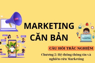 Câu hỏi trắc nghiệm HỆ THỐNG THÔNG TIN VÀ NGHIÊN CỨU MARKETING | Marketing căn bản | Đại học Văn Lang (2025)