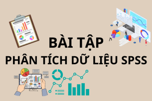Bài tập Phân tích dữ liệu SPSS (Có lời giải) | Trường Đại học Kinh Tế (2025)