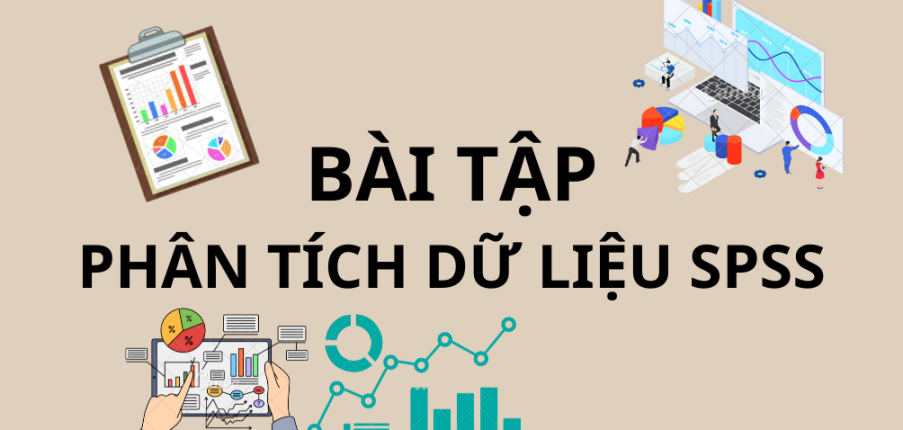 Bài tập Phân tích dữ liệu SPSS (Có lời giải) | Trường Đại học Kinh Tế