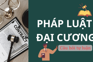 Các thuộc tính cơ bản của pháp luật? | Câu hỏi tự luận ôn tập học phần Pháp luật đại cương (2025)