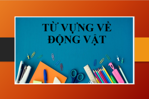 Từ vựng IELTS chủ đề: Animals | Từ vựng tiếng Anh về con vật (2025)