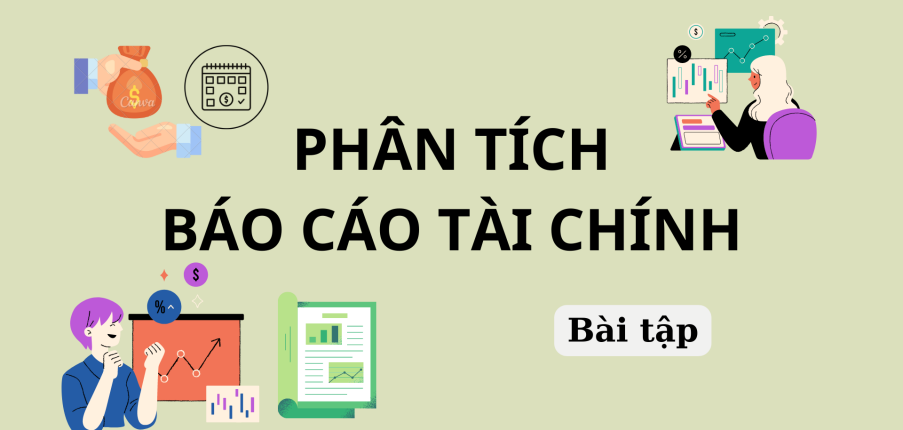 Bài tập Phân tích báo cáo tài chính | Trường Đại Học Đồng Tháp