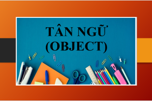 Tân ngữ (Object) là gì? | Phân loại - Hình thức - Bài tập vận dụng về Tân ngữ