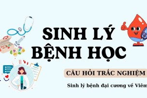 Câu hỏi trắc nghiệm SINH LÝ BỆNH ĐẠI CƯƠNG VỀ VIÊM  | Sinh lý bệnh học | Đại học Y Dược Huế (2025)