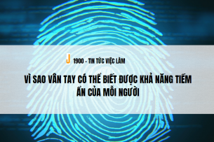 Sinh trắc vân tay là gì? Vì sao vân tay có thể biết được khả năng tiềm ẩn của mỗi người