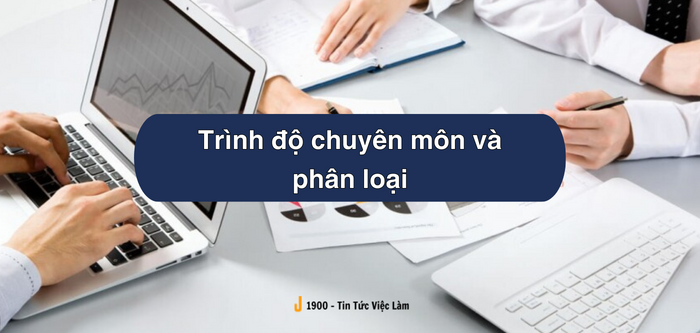 Trình độ chuyên môn là gì? Phân loại 5 trình độ chuyên môn trong công việc