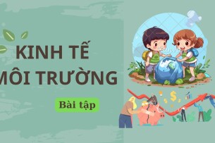 Ngân hàng bài tập Kinh tế môi trường (có đáp án) hay, chi tiết nhất |PDF (2025)