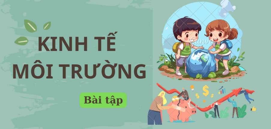 Ngân hàng bài tập Kinh tế môi trường (có đáp án) hay, chi tiết nhất |PDF