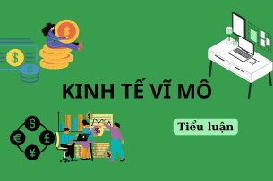 Tiểu luận về Tăng trưởng kinh tế | Kinh tế vĩ mô | Trường Đại học Kinh tế Thành phố Hồ Chí Minh (2025)
