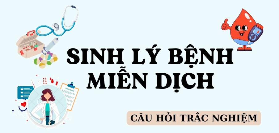 TOP 500 câu hỏi trắc nghiệm Sinh lý bệnh miễn dịch (có đáp án) hay, đầy đủ nhất