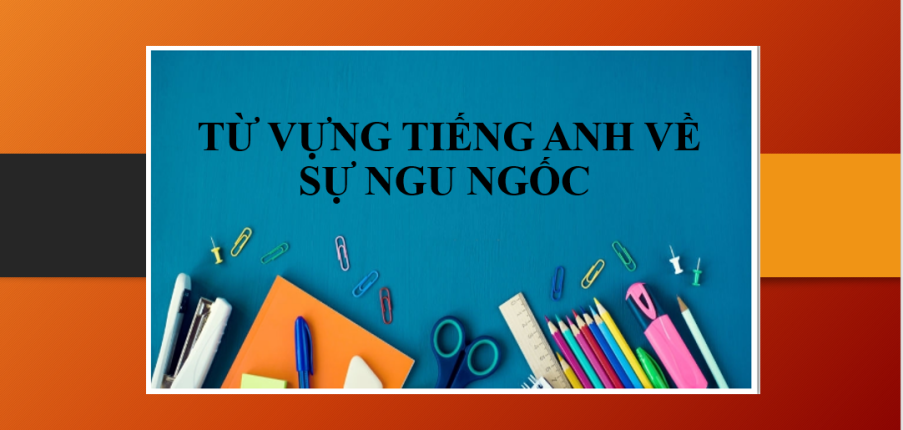 Từ vựng tiếng Anh về sự ngu ngốc & Ví dụ minh họa