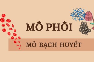 MÔ BẠCH HUYẾT | Câu hỏi trắc nghiệm ôn tập Mô phôi | Đại học Y Dược Thành phố Hồ Chí Minh (2025)