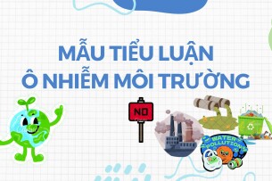 Mẫu tiểu luận về ô nhiễm môi trường | Trường Đại học Sư phạm Kỹ thuật Thành phố Hồ Chí Minh (2025)