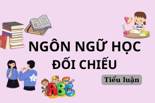 Tiểu luận: Đối chiếu đại từ nhân xưng trong tiếng Việt với tiếng Trung | Ngôn ngữ học đối chiếu | Trường Đại học Đại Nam (2025)