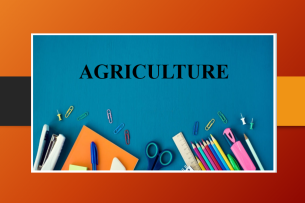 Topic Agriculture | Phân tích ý tưởng, từ vựng và bài mẫu IELTS Writing Task 2 (2025)