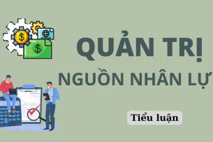 Tiểu luận Quản trị nguồn nhân lực | Trường Đại học kinh tế Thành phố Hồ Chí Minh (2025)