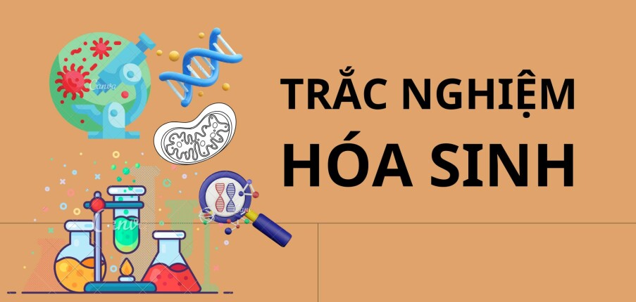 Ngân hàng câu hỏi trắc nghiệm Hóa sinh (có đáp án) hay, chi tiết nhất