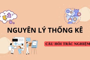 TOP 150 Câu hỏi trắc nghiệm môn Nguyên lý thống kê hay, hấp dẫn nhất (2025)