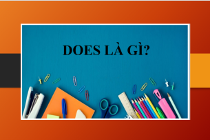 Does là gì? | Cách dùng - Cấu trúc câu với does - Những cụm từ thông dụng với does - Khi nào dùng is và does? (2025)