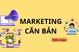 Tiểu luận: Chiến lược xúc tiến hỗn hợp của Vinamilk | Marketing căn bản | DHK (2025)