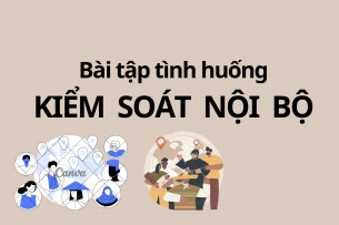 TOP 5 bài tập tình huống Kiểm soát nội bộ (có lời giải) | Trường Đại học Kinh tế Thành phố Hồ Chí Minh (2025)