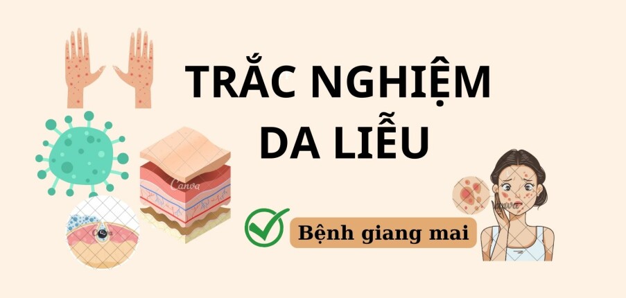 TOP 40 câu hỏi trắc nghiệm Da liễu về BỆNH GIANG MAI (có đáp án) | Đại học Y dược Huế