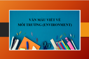 Đoạn văn mẫu viết về Môi trường (Environment) bằng tiếng Anh theo chủ đề (2025)