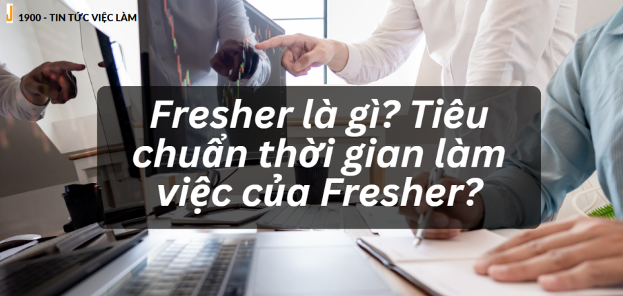 Fresher là gì? Tiêu chuẩn thời gian làm việc của Fresher