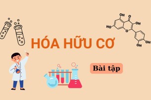 Ngân hàng bài tập Hóa hữu cơ (có đáp án) | Trường Đại học khoa học tự nhiên, Đại học Quốc gia Thành phố Hồ Chí Minh (2025)