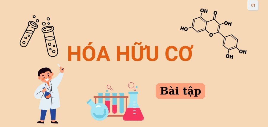 Ngân hàng bài tập Hóa hữu cơ (có đáp án) | Trường Đại học khoa học tự nhiên, Đại học Quốc gia Thành phố Hồ Chí Minh