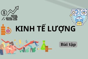 Ngân hàng bài tập Kinh tế lượng (có đáp án) | Trường Đại học Kinh tế tài chính Thành phố Hồ Chí Minh (2025)