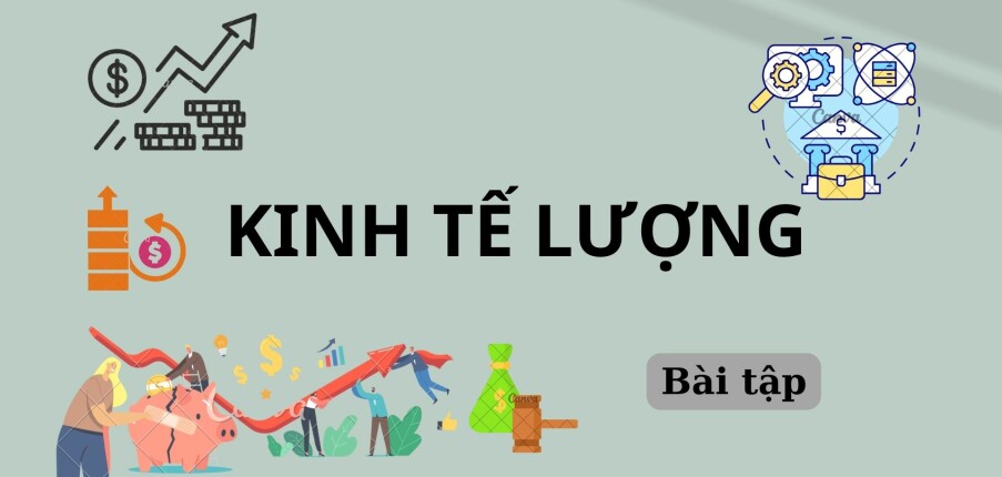 Ngân hàng bài tập Kinh tế lượng (có đáp án) | Trường Đại học Kinh tế tài chính Thành phố Hồ Chí Minh