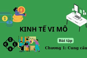 TOP 15 bài tập Cung cầu (có đáp án) | Kinh tế vi mô | Trường Đại học Khoa học xã hội và Nhân văn (2025)