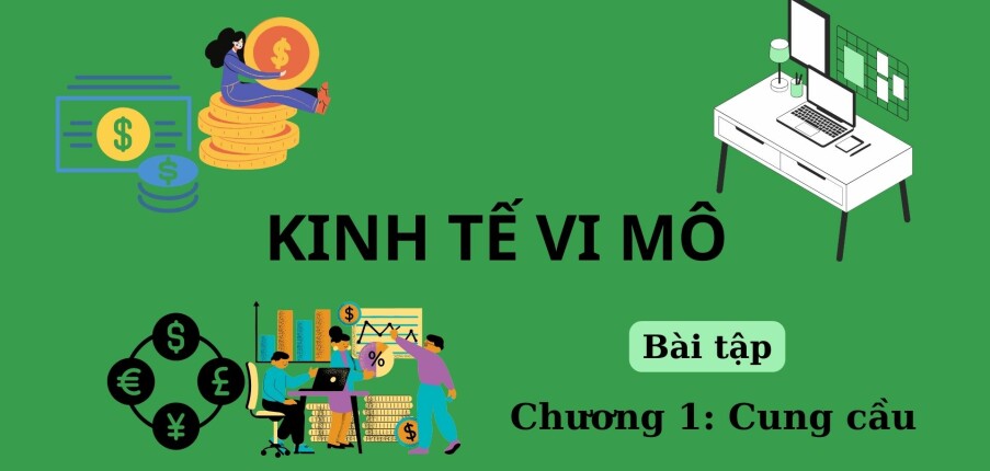 TOP 15 bài tập Cung cầu (có đáp án) | Kinh tế vi mô | Trường Đại học Khoa học xã hội và Nhân văn