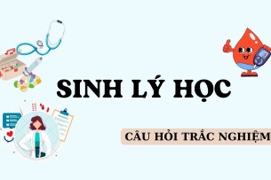 Ngân hàng câu hỏi trắc nghiệm Sinh lý học (có đáp án) | Trường Đại học Y Dược Thành phố Hồ Chí Minh (2025)