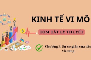 Sự co giãn của cầu và cung | Tóm tắt lý thuyết Kinh tế vi mô | UFM (2025)