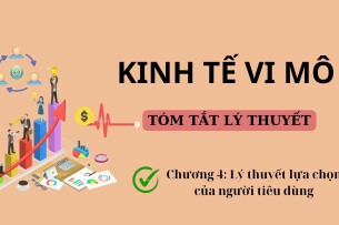 Lý thuyết lựa chọn của người tiêu dùng | Tóm tắt lý thuyết Kinh tế vi mô | UFM (2025)