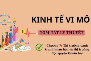 Thị trường cạnh tranh hoàn hảo và thị trường độc quyền thuần túy | Tóm tắt lý thuyết Kinh tế vi mô | UFM (2025)