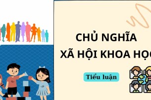 Dân chủ và nền dân chủ xã hội chủ nghĩa ở Việt Nam hiện nay | Tiểu luận môn Chủ nghĩa xã hội khoa học | Trường Đại học Đại Nam (2025)