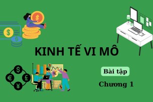 Ngân hàng bài tập Kinh tế vi mô Chương 1 (có đáp án) | Học viện Ngân hàng (2025)