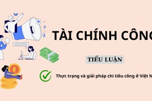 Thực trạng và giải pháp chi tiêu công ở Việt Nam | Tiểu luận môn Tài chính công | Học viện Hành chính (2025)