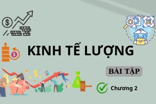 Ngân hàng bài tập Kinh tế lượng Chương 2 (có đáp án) hay, hấp dẫn nhất (2025)