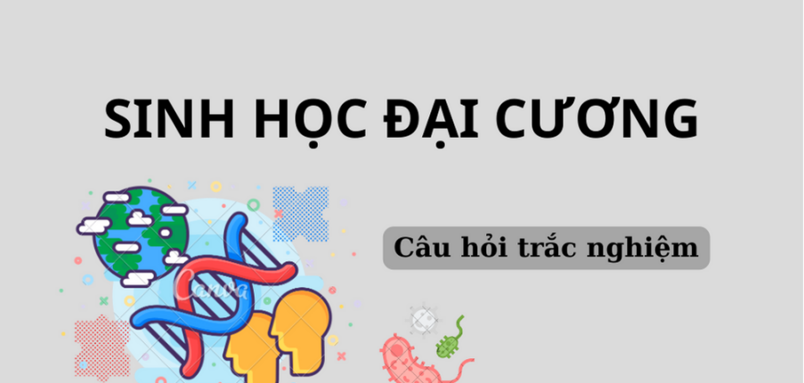 Ngân hàng câu hỏi trắc nghiệm Sinh học đại cương (có đáp án) hay, hấp dẫn nhất