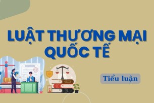 Biện pháp phòng vệ thương mại chống trợ cấp của Chính phủ | Tiểu luận môn Luật thương mại quốc tế | Đại học Huế (2025)