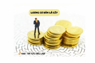 Lương cơ bản là gì? Những quy định về lương cơ bản