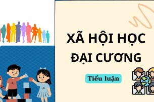 Vấn đề bạo lực học đường, thực trạng và giải pháp | Tiểu luận môn Xã hội học đại cương | Trường Đại học văn hóa Hà Nội (2025)