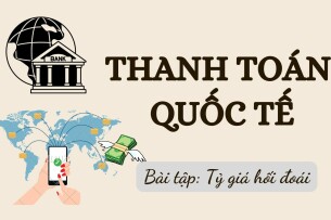 TOP 10 bài tập về Tỷ giá hối đoái (có đáp án) | Thanh toán quốc tế | Trường Đại học Thủ Dầu Một (2025)