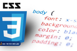 Ngôn ngữ CSS là gì? Những kiến thức cơ bản về CSS