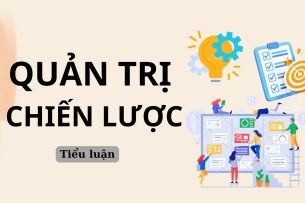 Phân tích chiến lược của công ty Acebook | Tiểu luận môn Quản trị chiến lược | Trường Đại học Thăng Long (2025)