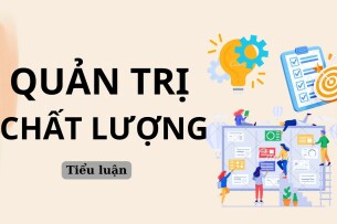 Phân tích và vận dụng nguyên tắc "Định hướng vào khách hàng" | Tiểu luận môn Quản trị chất lượng | Trường Đại học Kinh tế Thành phố Hồ Chí Minh (2025)